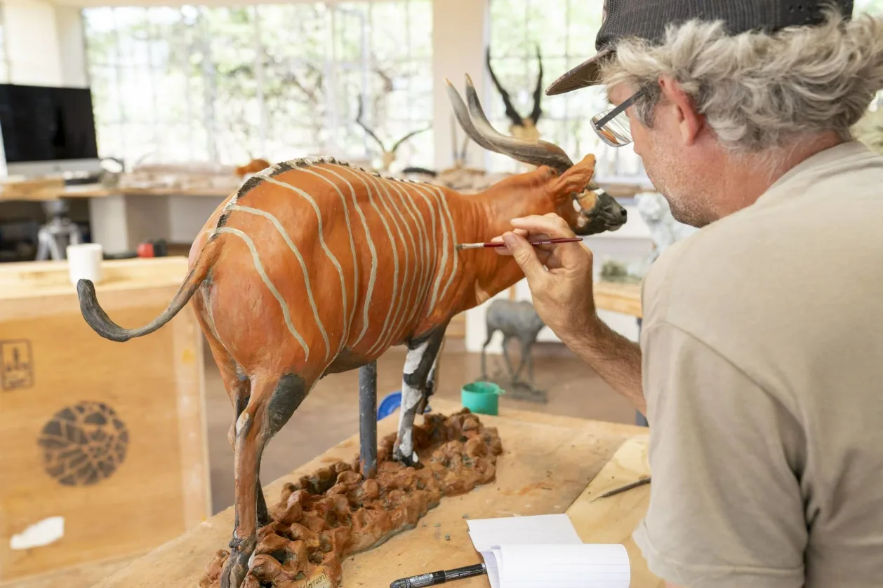 El Karama Lodge Murray Grant studio